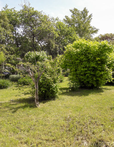 Le jardin verdoyant et végétalisé baigné de soleil. Le havre de paix de la location de vacances Le Fontauris, au cœur de la Provence à Forcalquier.