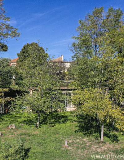 Les arbres luxuriant devant la dépendance abritant la salle de jeux de la location de vacances La Norgère à Mane en Provence.