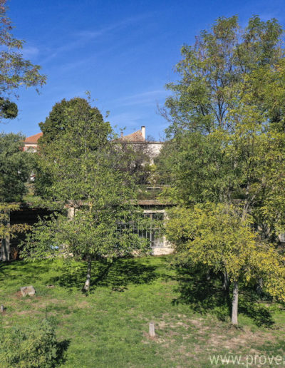 Les arbres luxuriant devant la dépendance abritant la salle de jeux de la location de vacances La Norgère à Mane en Provence.