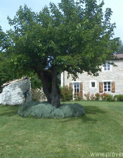 La maison pleine de charme avec sa façade en pierre et ses volets en bois, entourée d'un jardin verdoyant et arboré propice au bien-être et à la détente pour des vacances réussies dans la location La Santoline située à Lurs, au cœur de la Provence.