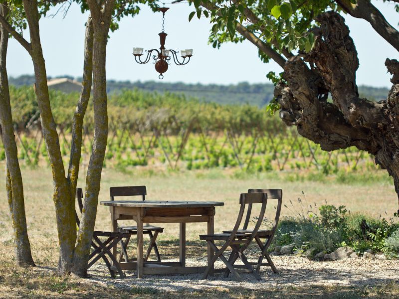 Maisons de vacances proche des vignes