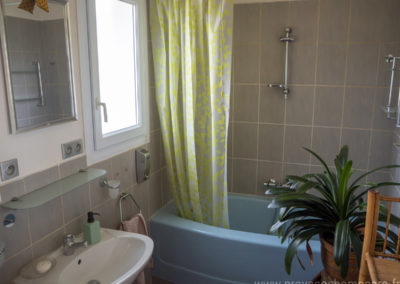 Salle de bain, avec baignoire, lavabo, plante grasse, miroir