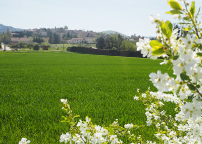 Champs verdoyant avec fleurs, vue sur le village médiéval de Dauphin dans le Luberon, maison gérée par l'agence Provence Home care