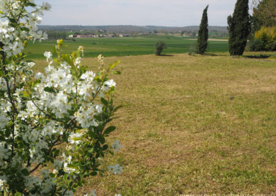 Champs et fleurs dans la campagne de Dauphin dan le Luberon, maison gérée par l'agence Provence Home care